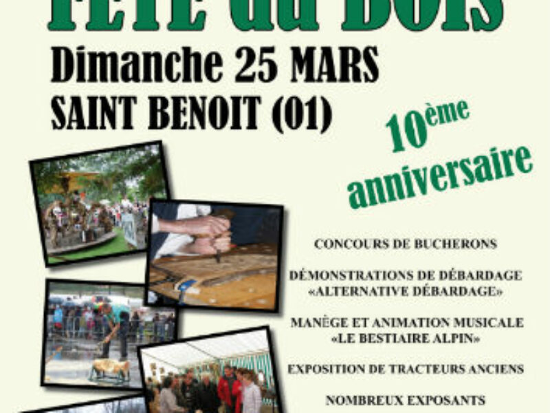 Fête Du Bois à St Benoît Le 25/03/2012