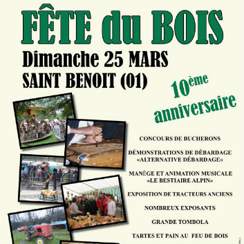 Fête Du Bois à St Benoît Le 25/03/2012